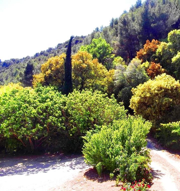 La Bastide Du Vallon Casa de hóspedes Saumane-de-Vaucluse Exterior foto
